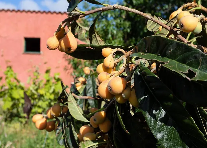 Villa Home2book Luxury Luna De Tacoronte Pool La Laguna (Tenerife)