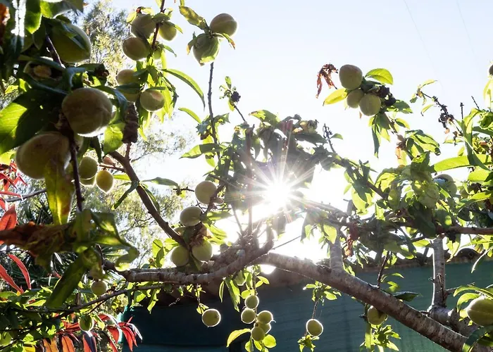 Home2book Luxury Luna De Tacoronte Pool וילה לה לגונה