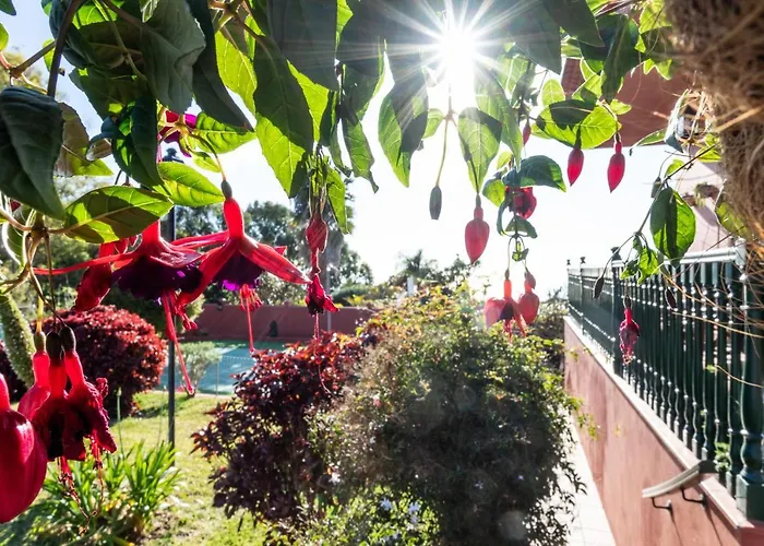 Home2book Luxury Luna De Tacoronte Pool