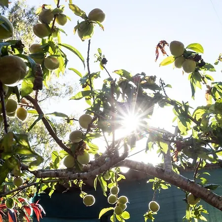 Home2book Luxury Luna De Tacoronte Pool Villa La Laguna (Tenerife)