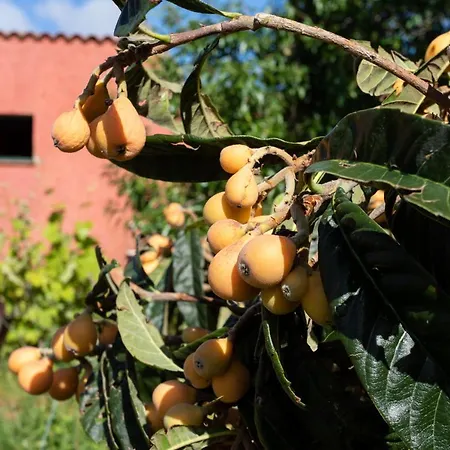 Villa Home2book Luxury Luna De Tacoronte Pool La Laguna (Tenerife)