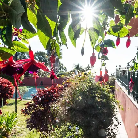 Home2book Luxury Luna De Tacoronte Pool